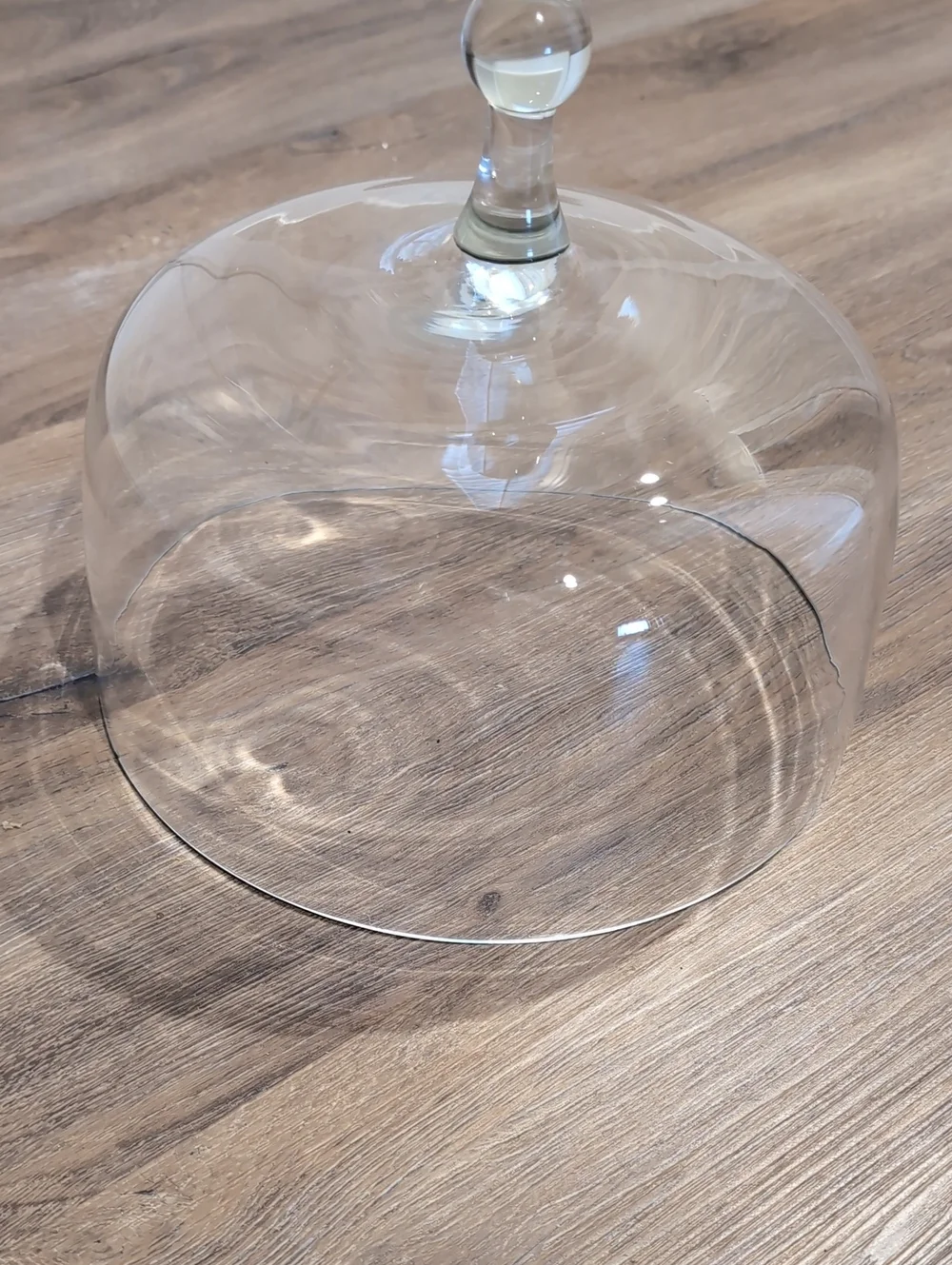 Cake Dome Clear Glass 10